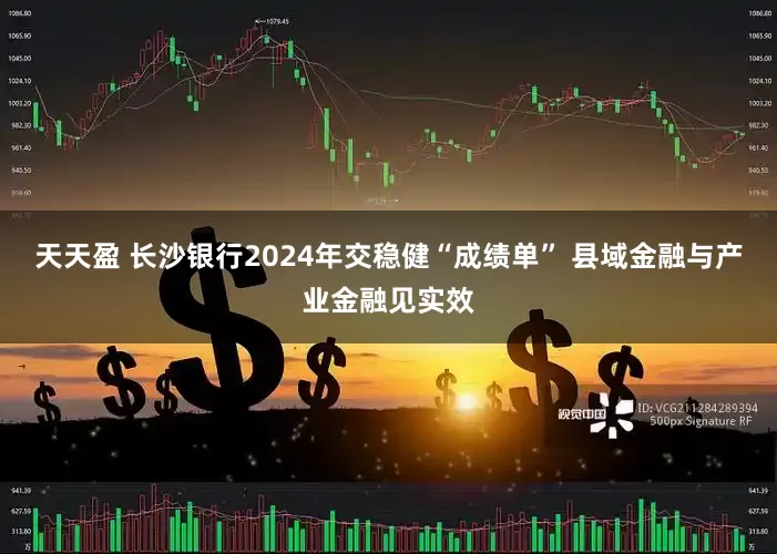 天天盈 长沙银行2024年交稳健“成绩单” 县域金融与产业金融见实效