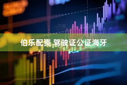 伯乐配资 驾驶证公证海牙
